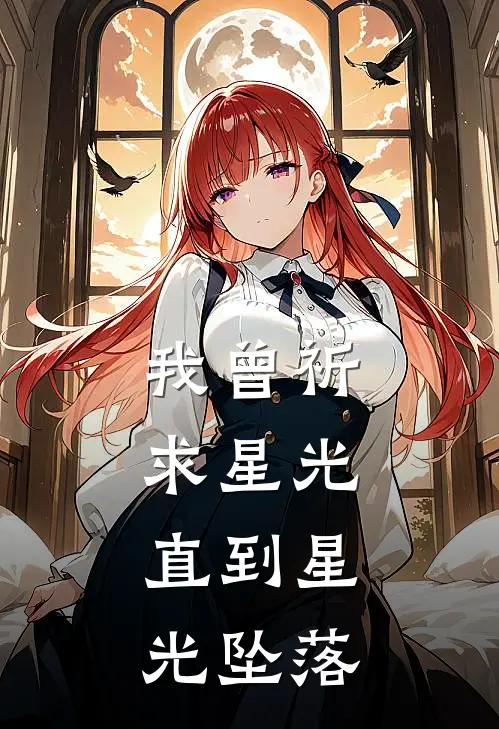 我曾祈求星光，直到星光坠落(保研宋祁寒)完整版免费全文阅读_最热门小说我曾祈求星光，直到星光坠落保研宋祁寒