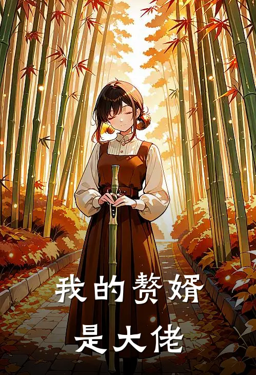 我的赘婿是大佬